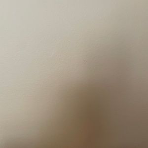 One BRAND NEW AWAY Front Pocket Backpack: color is Coast